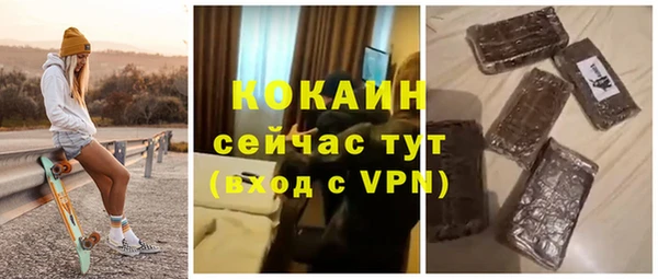 spice Богородицк