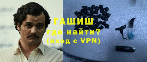 гидра Богородск