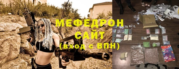 spice Богородицк
