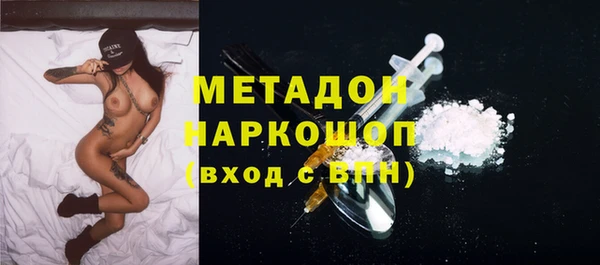 гидра Богородск