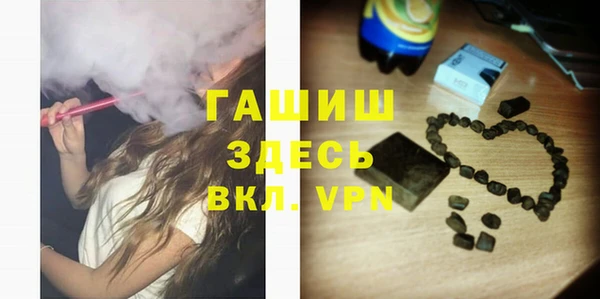 spice Богородицк