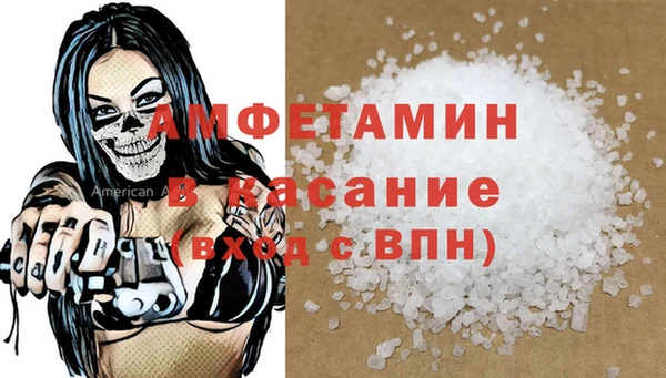 гидра Богородск