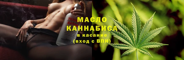 гидра Богородск