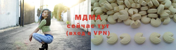 гидра Богородск