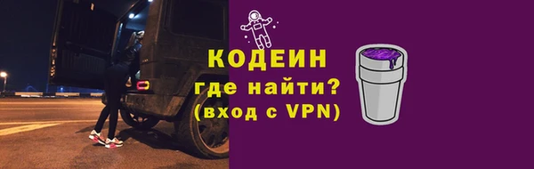 spice Богородицк