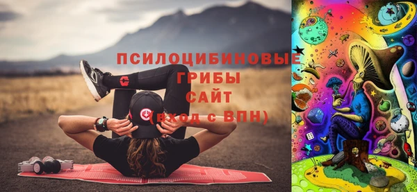 spice Богородицк