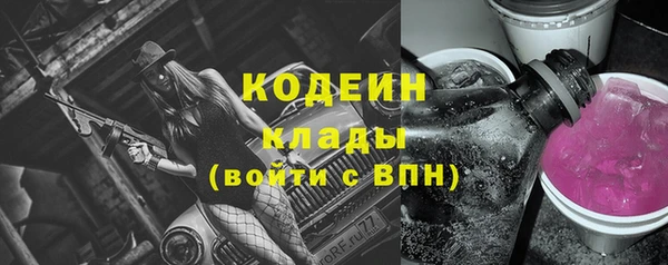 spice Богородицк