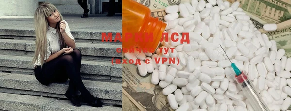 гидра Богородск