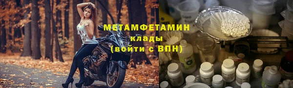 гидра Богородск